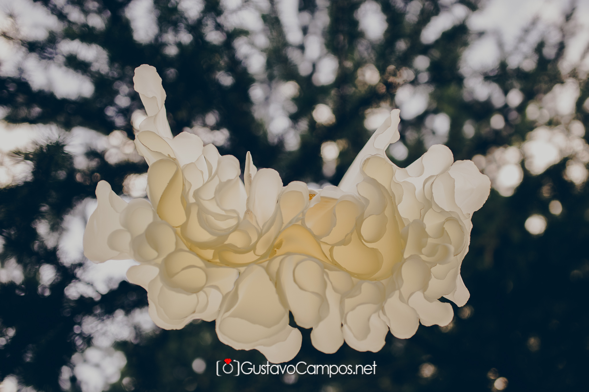Gustavo Campos fotografo de bodas, Buenos Aires fotos de bodas